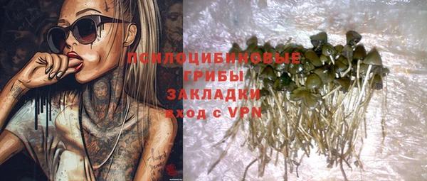 COCAINE Богородицк