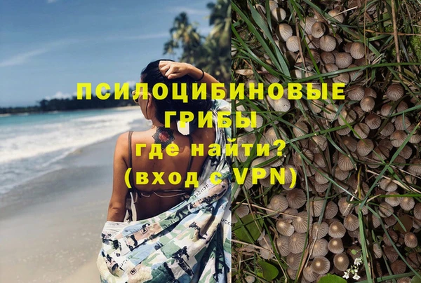 jwh Богданович