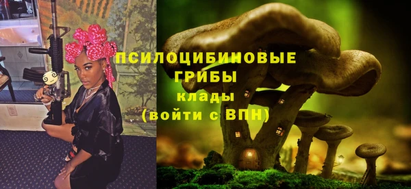 прущая мука Богородск