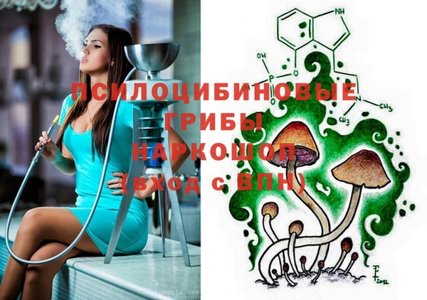 COCAINE Богородицк