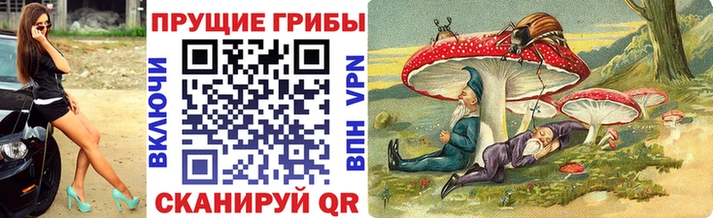 Галлюциногенные грибы Psilocybe  Макаров 